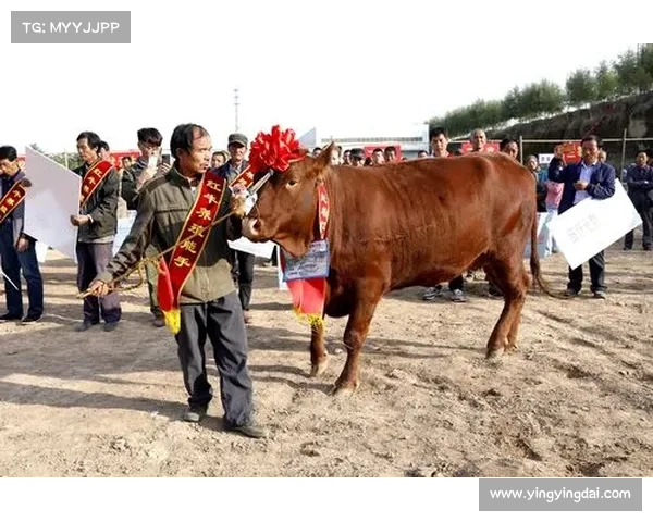 18年红牛赛事;红牛比赛2019