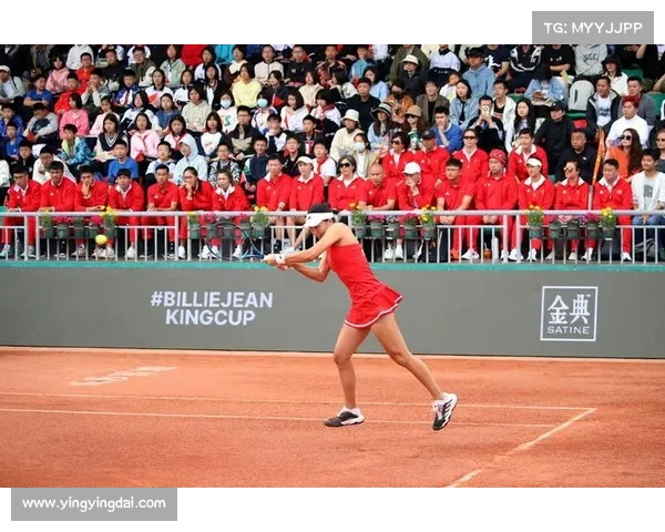 网球赛事团体 网球团体公开赛